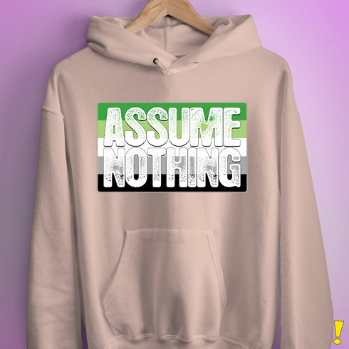 Assume Nothing Aromantic Pride Flag Hoodie - Light Pink